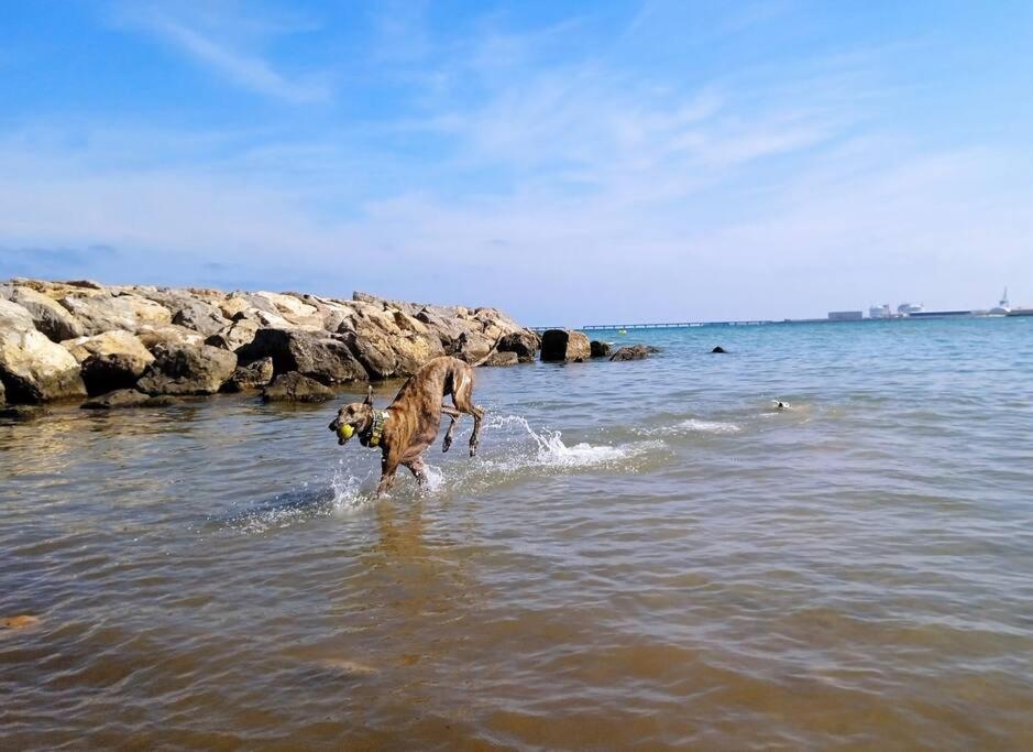 Precioso En Canet D,en Berenger Appartement Canet d'En Berenguer