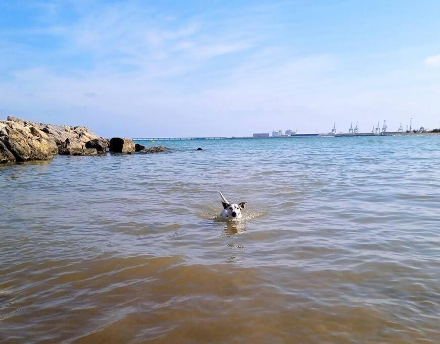 Precioso En Canet D,en Berenger Apartment Canet d'En Berenguer